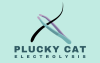 Plucky Cat Electrolysis